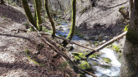 Le ruisseau près du Moulin de Porte-traîne